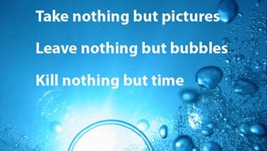 Take nothing but pictures. Leave nothing but bubbles. Kill nothing but time.