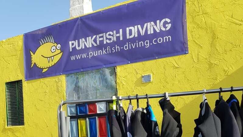 Punkfish Diving